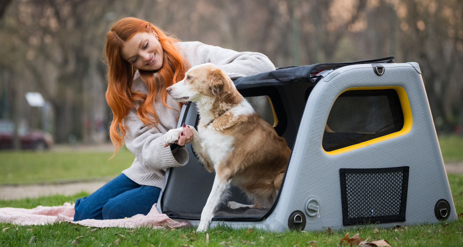 🔍 Jak vybrat správný box – na co se zaměřit