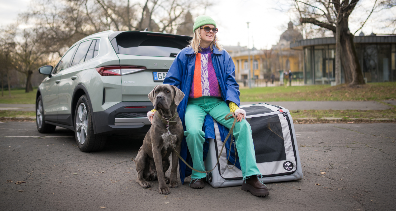 📦 Box versus alternativy – proč je box nejlepší volba