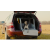 FOOTAGE.00 15 59 07.Still038