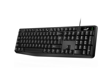 GENIUS KB-117, Klávesnica, USB, CZ/SK, čierna