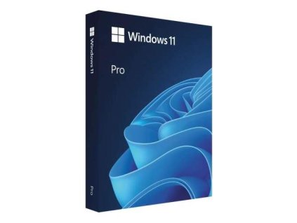 MS WINDOWS 11 Pro SK 64 bit USB