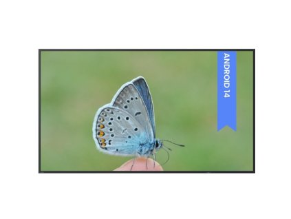 BENQ ST4304 Smart Signage, LED Panel 4K UHD 43"