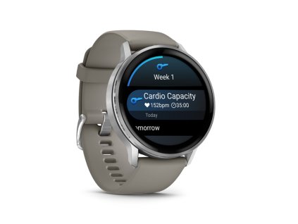 GARMIN VENU 4, Smart hodinky, Silver + Gray 45