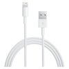 APPLE Lightning to USB Cable (2m)