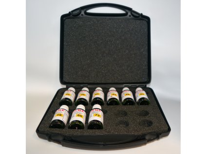 DYTSETB 20ML Non Toxic Dyne Ink Bottle Set in Storage Case