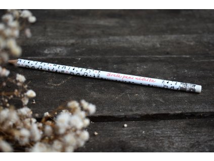 Ceruzka pre pani učiteľku 4