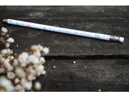 najlepši pan učitel 1