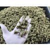 Lemon CBD květ 100g  Premium kvalita