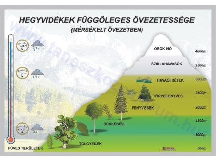 Hegyvidékek függőleges övezetessége, fali oktatótabló