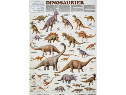 Dinoszauruszok, fali oktatótabló