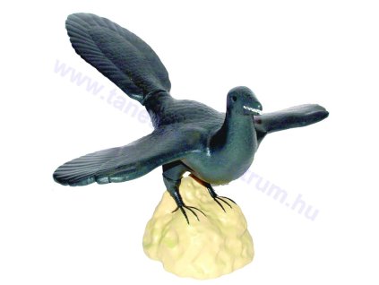 Archaeopteryx modell és fosszília lenyomata