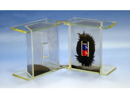 3D mágneses erővonalakat szemléltető eszköz