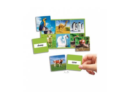 Állat lottó: 72 különböző állat