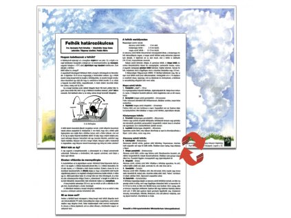 Felhők határozókulcsa