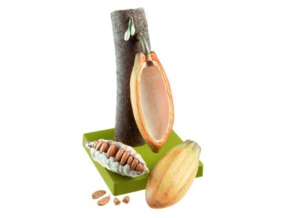 Kakaóbab, a kakaófa gyümölcse