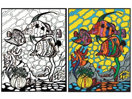 Színező (Színes halak), bársony felületű, 12 db filctollal