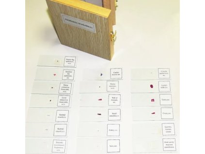 Anatómia gerincesek mikroszkóp preparátumok 25 darab