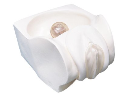 R10128 - Családtervezés oktató modell