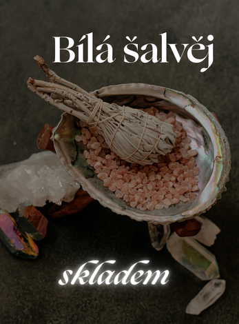 Bílá šalvěj skladem