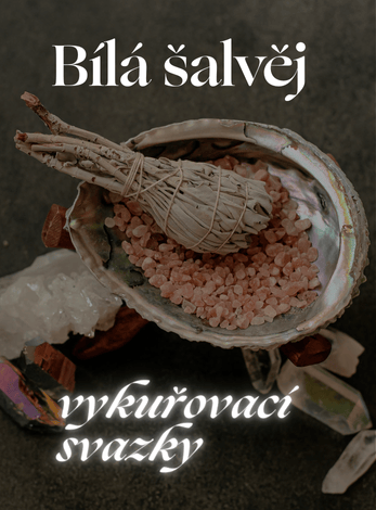 Bílá šalvěj skladem