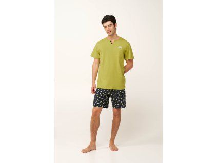 Pánské pyžamo VAMP Luis 24651