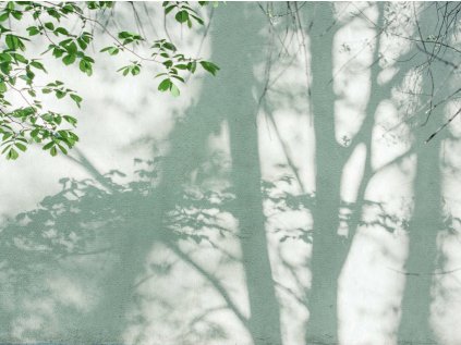 39925-1 Vliesová obrazová tapeta na zeď s digitální tiskem, role 20,1m x 53 cm