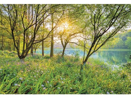 Komar papírová fototapeta 8-524 Spring Lake, rozměry 368 x 254 cm