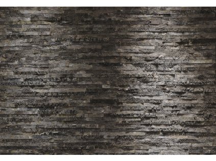 Komar papírová fototapeta 8-700 Birkenrinde, rozměry 368 x 254 cm