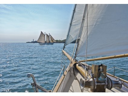 Komar papírová fototapeta Sailing 8-526 Plachtění, rozměry 368 x 254 cm