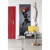 Komar papírová fototapeta Black Widow 1-430 Černá vdova, rozměry 73 x 202 cm