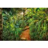 Komar papírová fototapeta 8-989 Jungle Trail, rozměry 368 x 254 cm