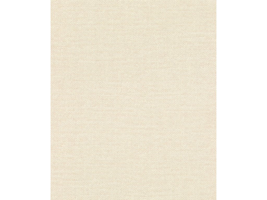 Vliesová tapeta na zeď Rasch 312126, Color Your Life, velikost 10,05 x 0,53 m