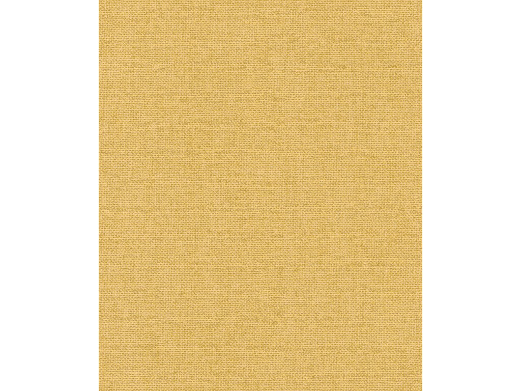 Vliesová tapeta na zeď Rasch 312195, Color Your Life, velikost 10,05 x 0,53 m