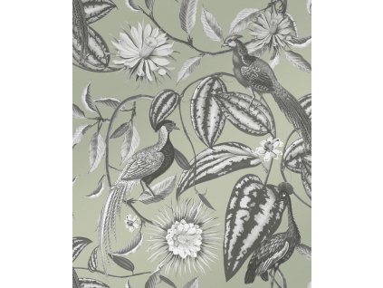 Zelená vliesová tapeta s květinami a ptáky, 120651, Retreat, Graham&Brown Premium, velikost 10 x 0,52 m