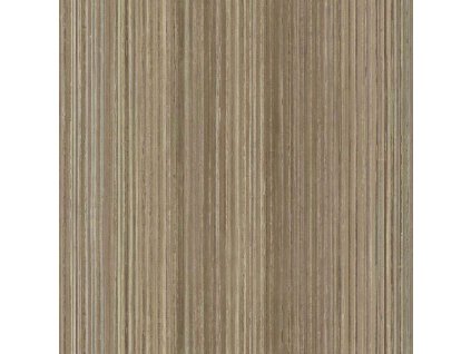 Hnědo-béžová vliesová proužková tapeta na zeď, 43853, Terra, Cristiana Masi by Parato, velikost 10,05 x 1,06 m
