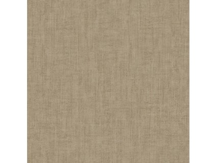 Hnědo-šedá vliesová tapeta na zeď, jemná textura, 30197, Energie, Cristiana Masi by Parato, velikost 10,05 x 0,53 m
