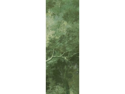 Vliesová fototapeta na zeď, les, stromy, DG4WOO1024-260, Wall Designs IV, Khroma by Masureel, velikost 1,06 x 2,6 m