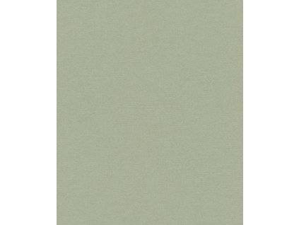 Vliesová tapeta na zeď Rasch 600285, Schöner Wohnen Cosy Living, velikost 0,53 x 10,05 m