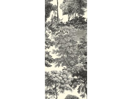 Vliesová obrazová tapeta na zeď, černá, les, stromy, DGSAL1012-260, Amazone, Masureel, velikost 1,27 x 2,6 m