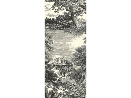 Vliesová obrazová tapeta na zeď, černá, les, stromy, DGSAL1011-260, Amazone, Masureel, velikost 1,27 x 2,6 m