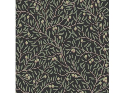 Vliesová tapeta na zeď, černá, olivovník, 5706, Orangeri,  Borastapeter, velikost 10,05 x 0,53 m