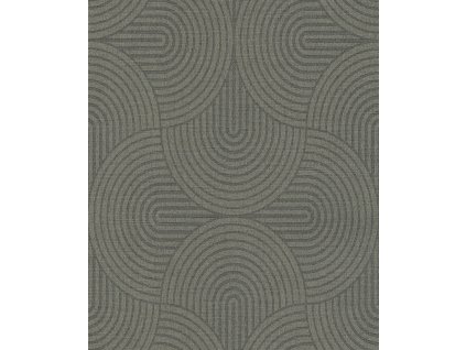 123121 123121 ear602