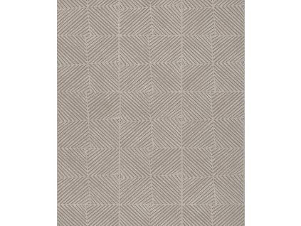 123193 123193 ear303