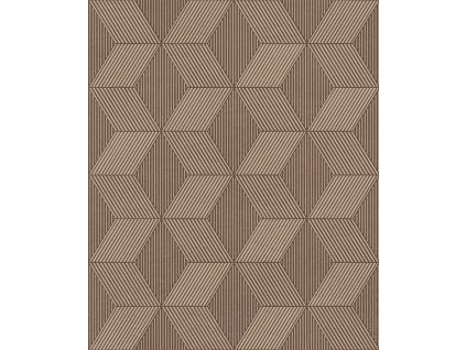 123211 123211 orb503