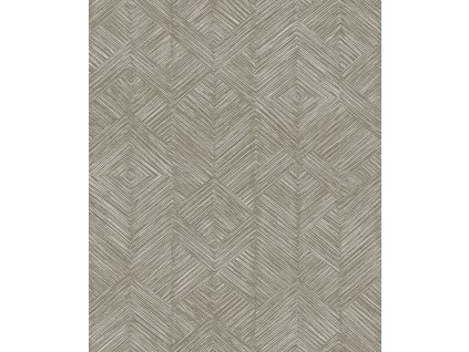 123241 123241 tri105