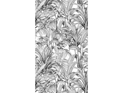 123364 123364 a58301