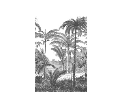 a58201