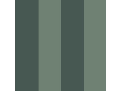 Vliesová tapeta na zeď, zelená, pruhy, 35965, Ornamenta, Parato by Cristiana Masi, velikost 10,05 x 0,53 m