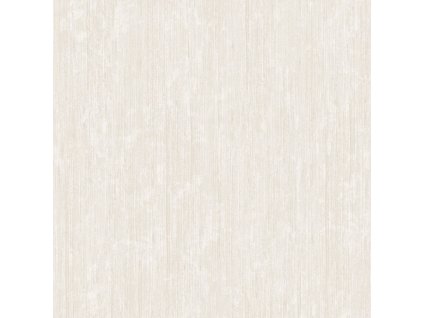 123793 123793 z20113