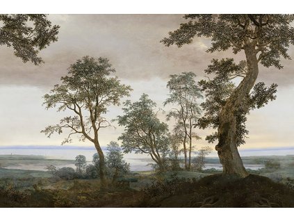 Vliesová fototapeta na zeď, stromy, krajina, 351290, Magnifique, Eijffinger, velikost 3 x 2,8 m